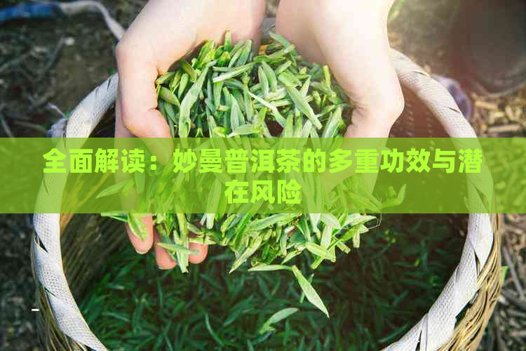 全面解读：妙曼普洱茶的多重功效与潜在风险