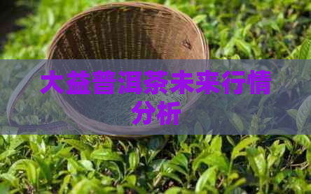 大益普洱茶未来行情分析