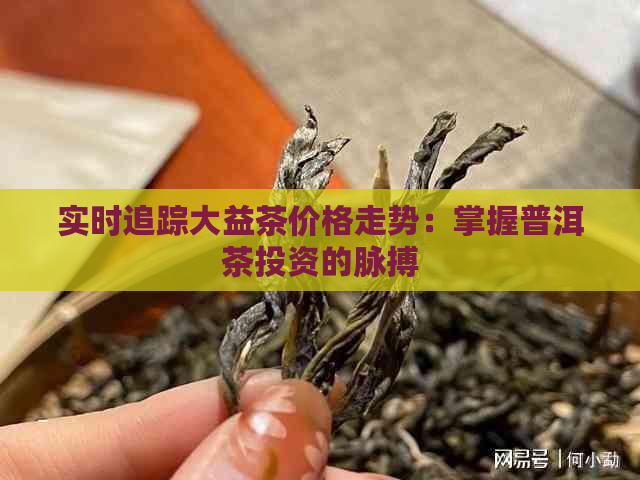 实时追踪大益茶价格走势：掌握普洱茶投资的脉搏