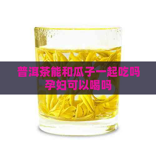 普洱茶能和瓜子一起吃吗孕妇可以喝吗