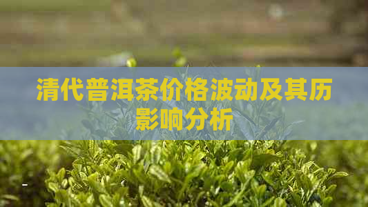 清代普洱茶价格波动及其历影响分析