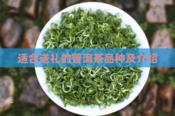 适合送礼的普洱茶品种及介绍