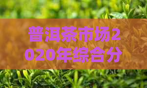 普洱茶市场2020年综合分析：价格走势、投资潜力及消费者偏好趋势