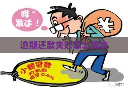 逾期还款失败怎么解决