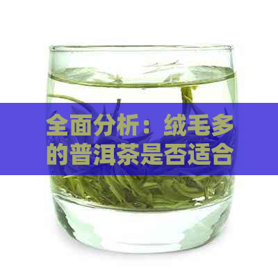 全面分析：绒毛多的普洱茶是否适合您？