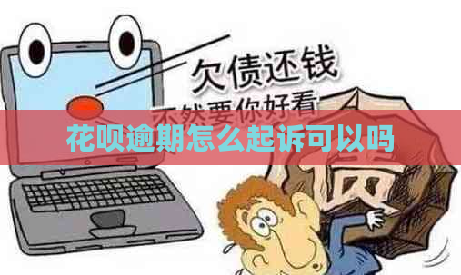 花呗逾期怎么起诉可以吗