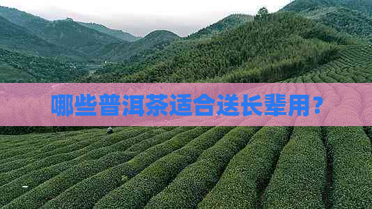 哪些普洱茶适合送长辈用？