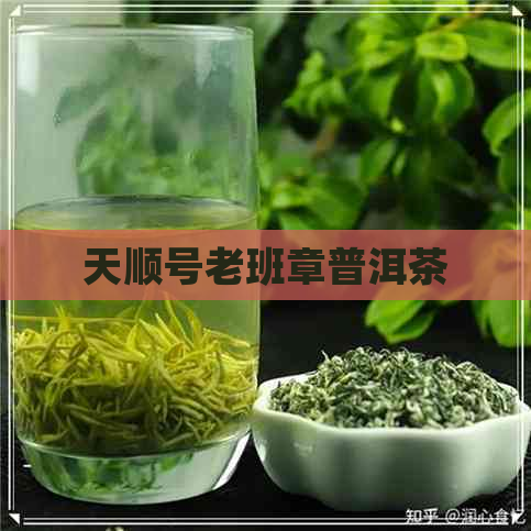 天顺号老班章普洱茶