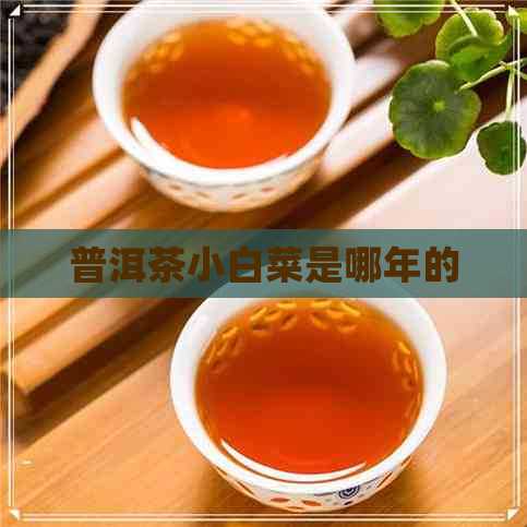 普洱茶小白菜是哪年的