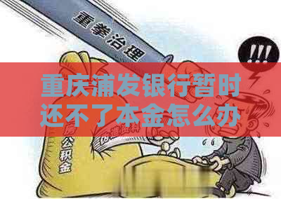 重庆浦发银行暂时还不了本金怎么办