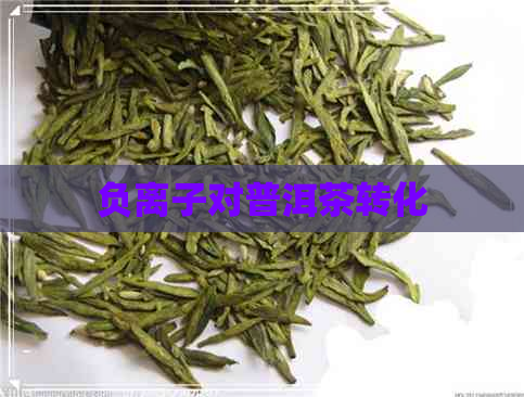 负离子对普洱茶转化