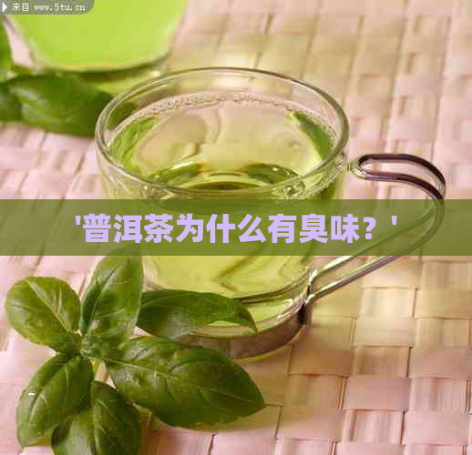 '普洱茶为什么有臭味？'