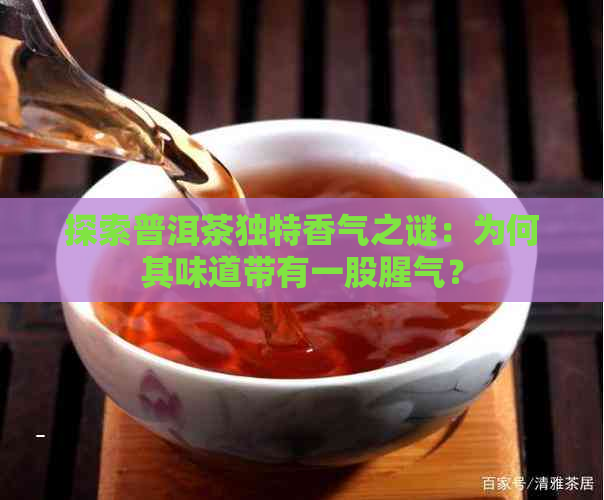 探索普洱茶独特香气之谜：为何其味道带有一股腥气？