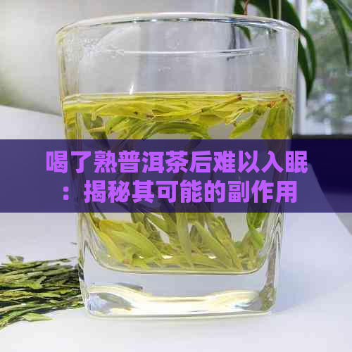 喝了熟普洱茶后难以入眠：揭秘其可能的副作用