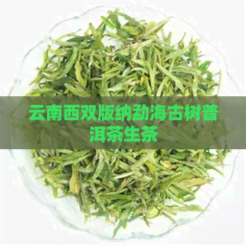 云南西双版纳勐海古树普洱茶生茶