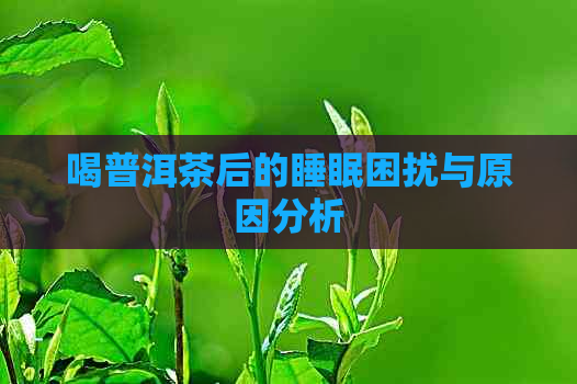 喝普洱茶后的睡眠困扰与原因分析