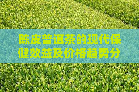 陈皮普洱茶的现代保健效益及价格趋势分析