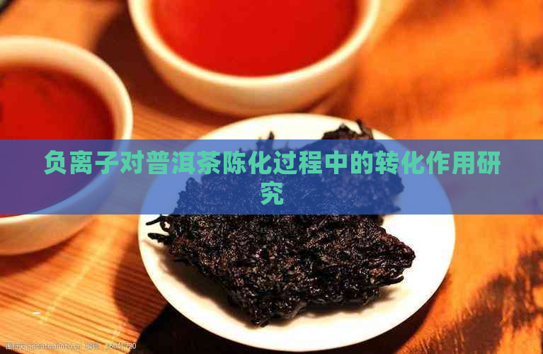 负离子对普洱茶陈化过程中的转化作用研究