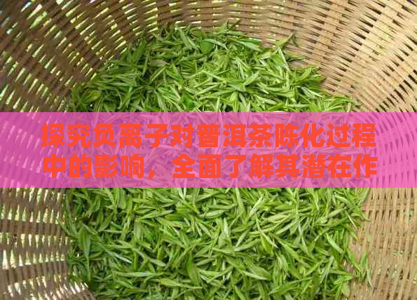 探究负离子对普洱茶陈化过程中的影响，全面了解其潜在作用与效果