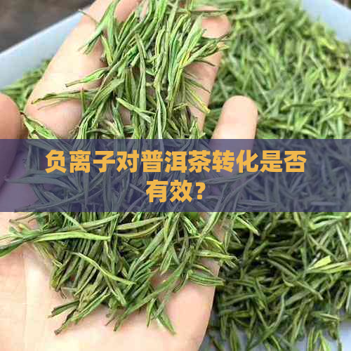 负离子对普洱茶转化是否有效？