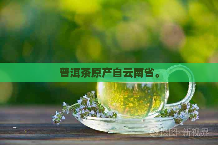 普洱茶原产自云南省。