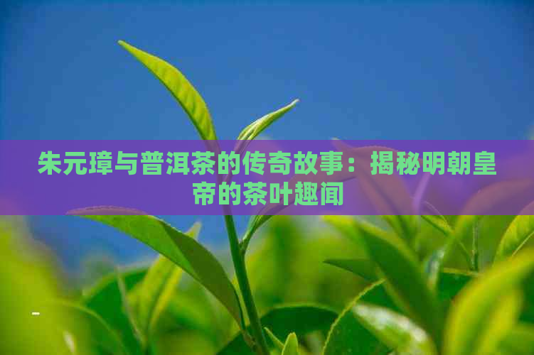 朱元璋与普洱茶的传奇故事：揭秘明朝皇帝的茶叶趣闻