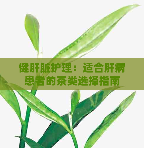 健肝脏护理：适合肝病患者的茶类选择指南