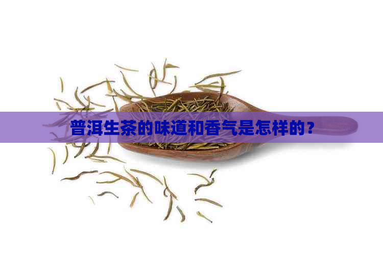 普洱生茶的味道和香气是怎样的？