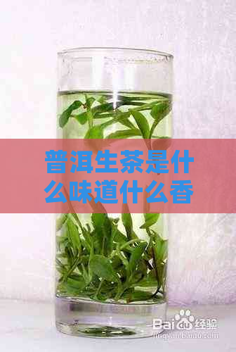 普洱生茶是什么味道什么香型