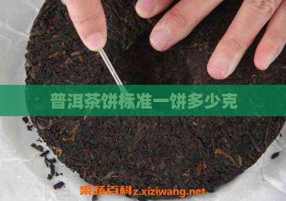 普洱茶饼标准一饼多少克