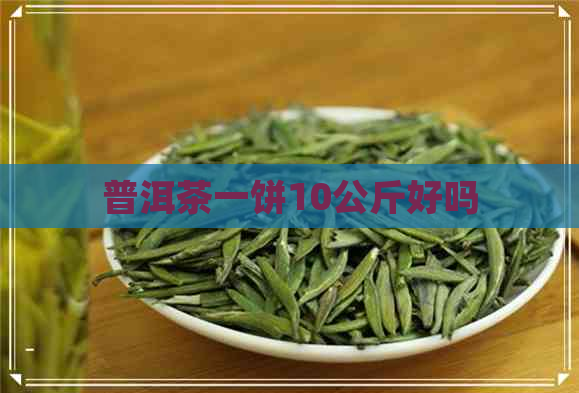 普洱茶一饼10公斤好吗