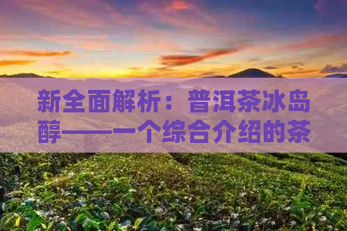 新全面解析：普洱茶冰岛醇——一个综合介绍的茶类指南