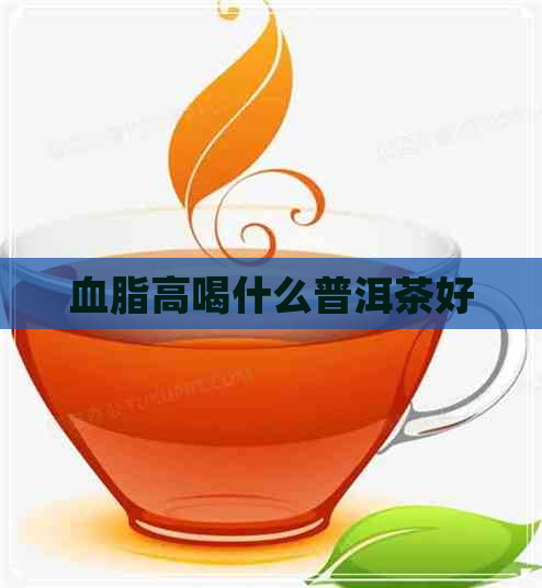 血脂高喝什么普洱茶好