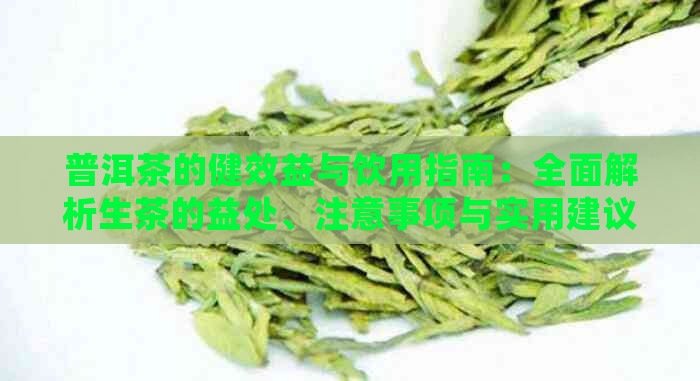 普洱茶的健效益与饮用指南：全面解析生茶的益处、注意事项与实用建议