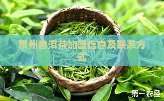 泉州普洱茶加盟信息及联系方式