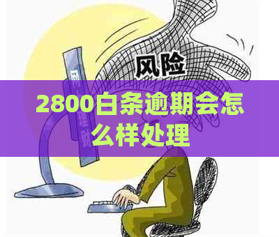 2800白条逾期会怎么样处理