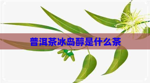 普洱茶冰岛醇是什么茶