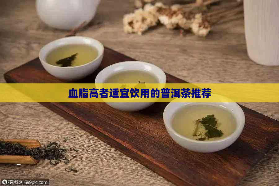 血脂高者适宜饮用的普洱茶推荐