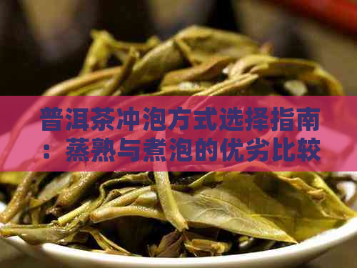 普洱茶冲泡方式选择指南：蒸熟与煮泡的优劣比较