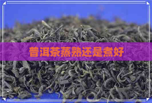 普洱茶蒸熟还是煮好