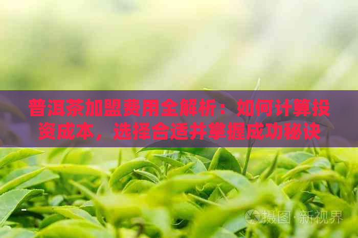 普洱茶加盟费用全解析：如何计算投资成本，选择合适并掌握成功秘诀