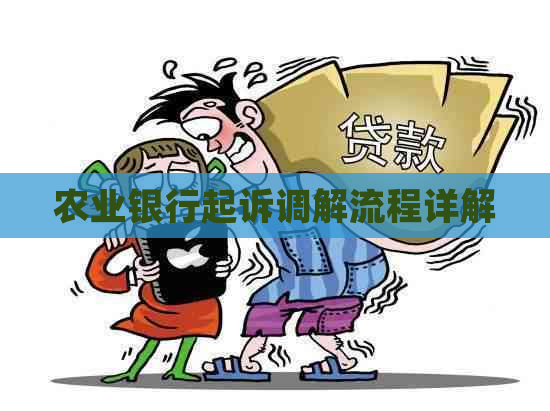 农业银行起诉调解流程详解