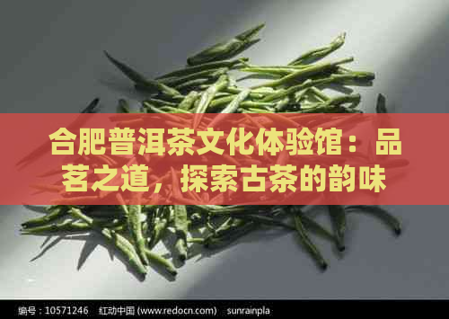 合肥普洱茶文化体验馆：品茗之道，探索古茶的韵味