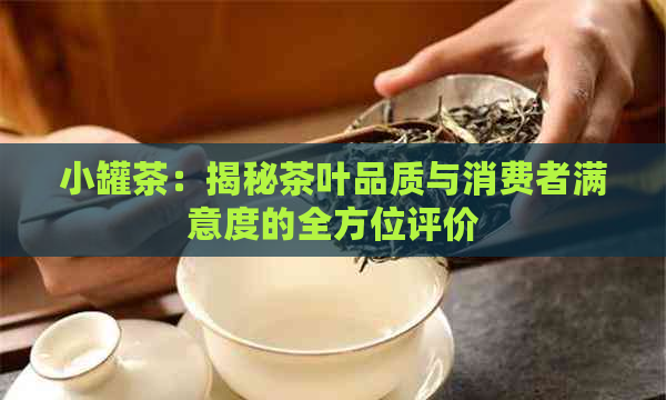 小罐茶：揭秘茶叶品质与消费者满意度的全方位评价