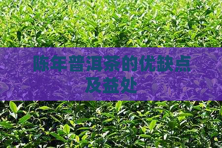 陈年普洱茶的优缺点及益处