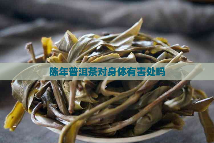 陈年普洱茶对身体有害处吗