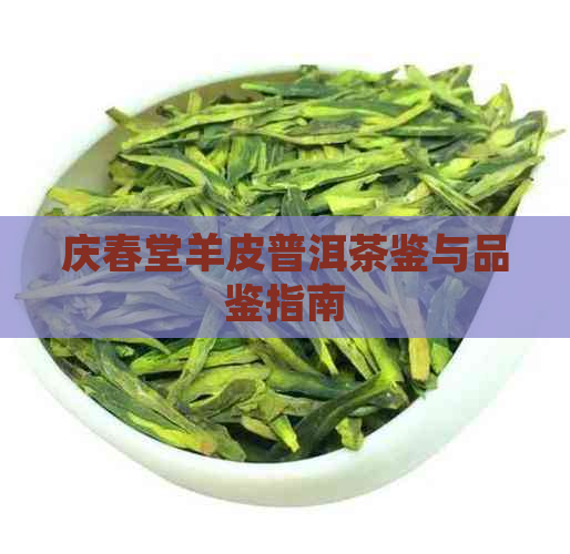 庆春堂羊皮普洱茶鉴与品鉴指南