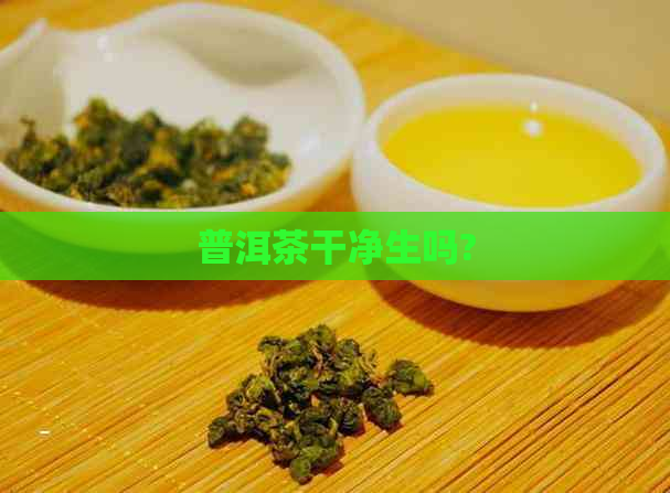 普洱茶干净生吗?