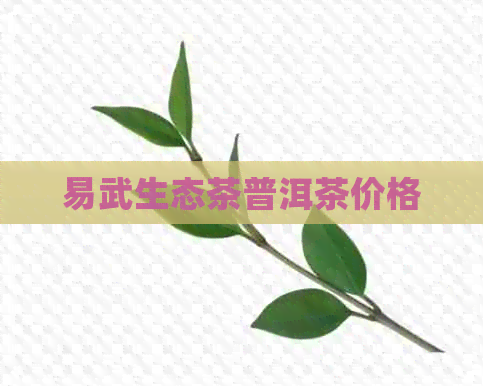 易武生态茶普洱茶价格