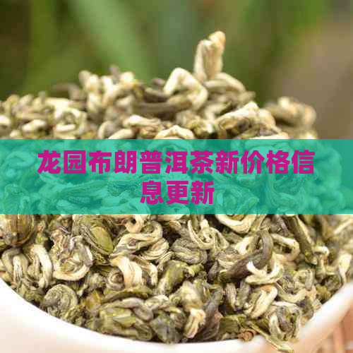 龙园布朗普洱茶新价格信息更新